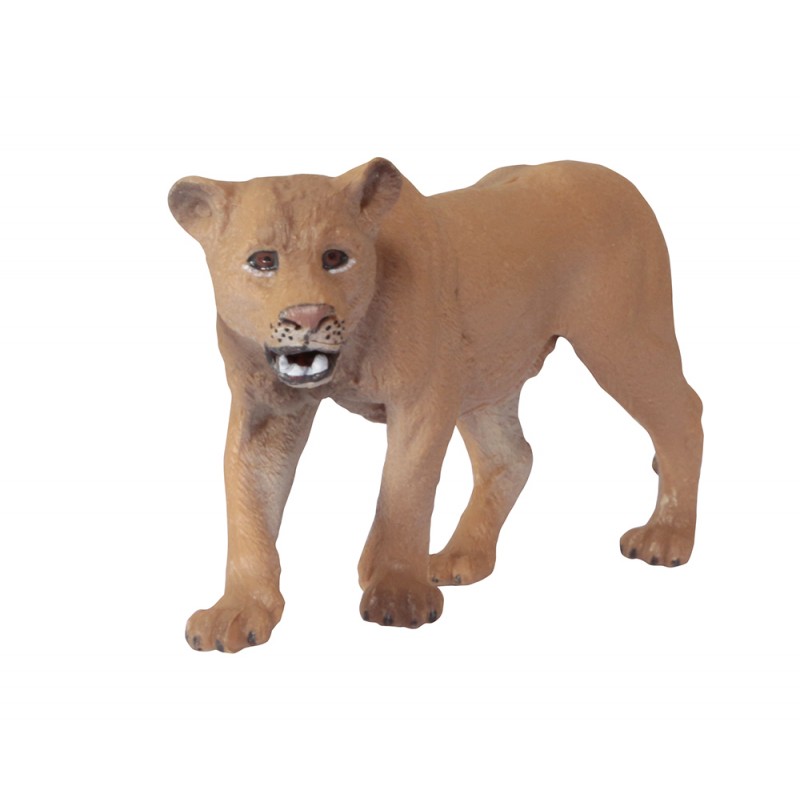 Tiere aus Nordamerika Tiere aus Nordamerika