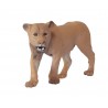 Animals from North America