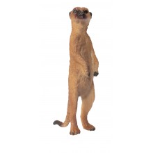 Animals from Africa
