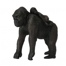 Animals from Africa
