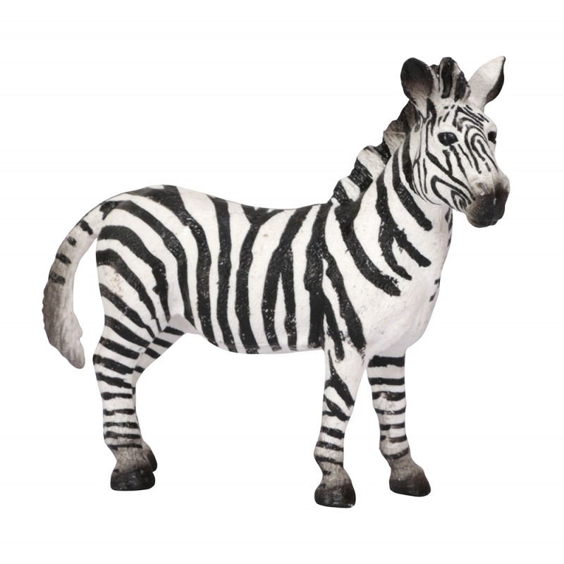 Animals from Africa