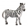 Animals from Africa