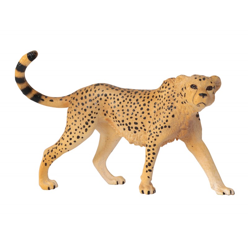 Tiere aus Afrika Tiere aus Afrika