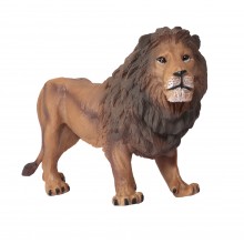 Animals from Africa