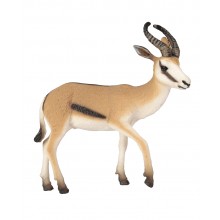 Animals from Africa