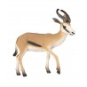 Animals from Africa