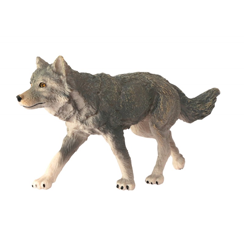Animals from Europe