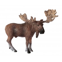 Animals from Europe