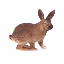 Animals from Europe