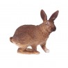 Animals from Europe
