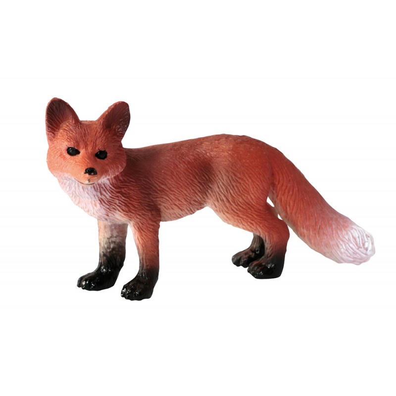 Tiere aus Europa Tiere aus Europa