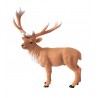 Animals from Europe