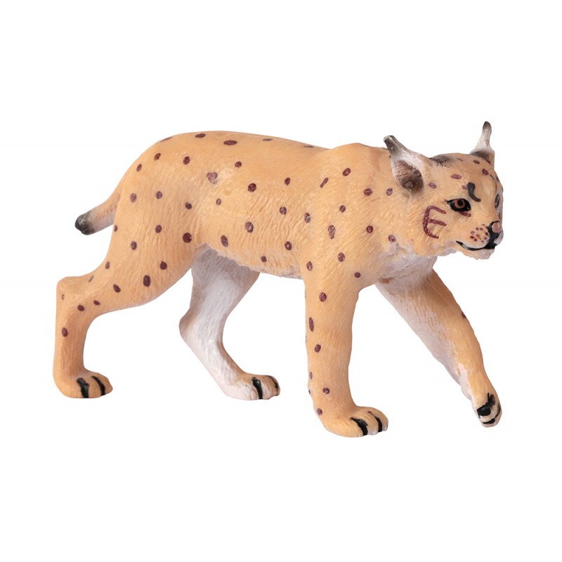 Animals from Europe