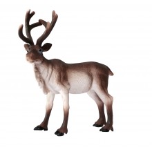 Animals from Europe