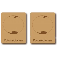 Klassifikationskarten - Tiere aus Polarregionen - Deutsch