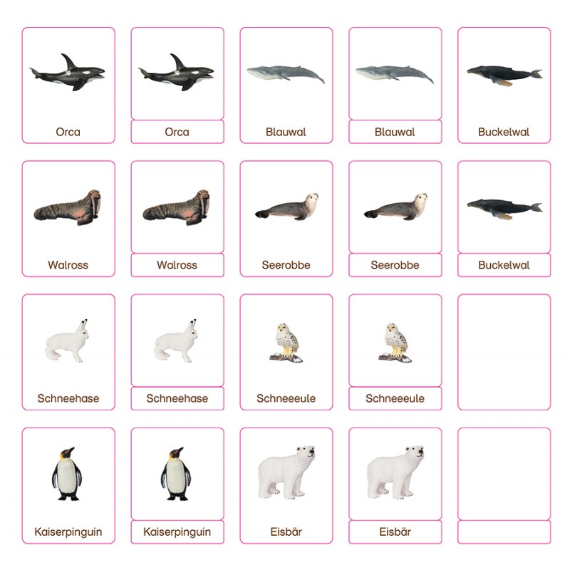 Classification cards - Animals from polar regions - German