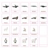 Classification cards - Animals from polar regions - German
