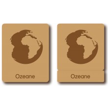 Classification cards - Animals of the Oceans - German