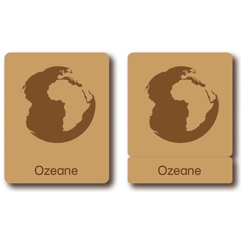 Klasifikačné karty - Zvieratá oceánov - Nemčina