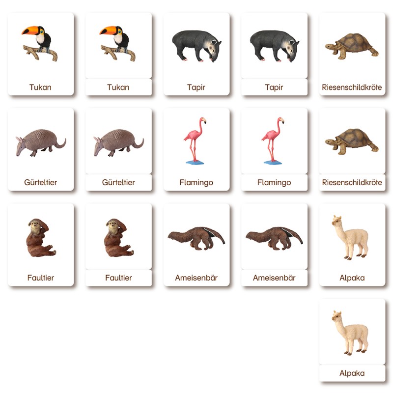 Classification cards - Animals from South America - German