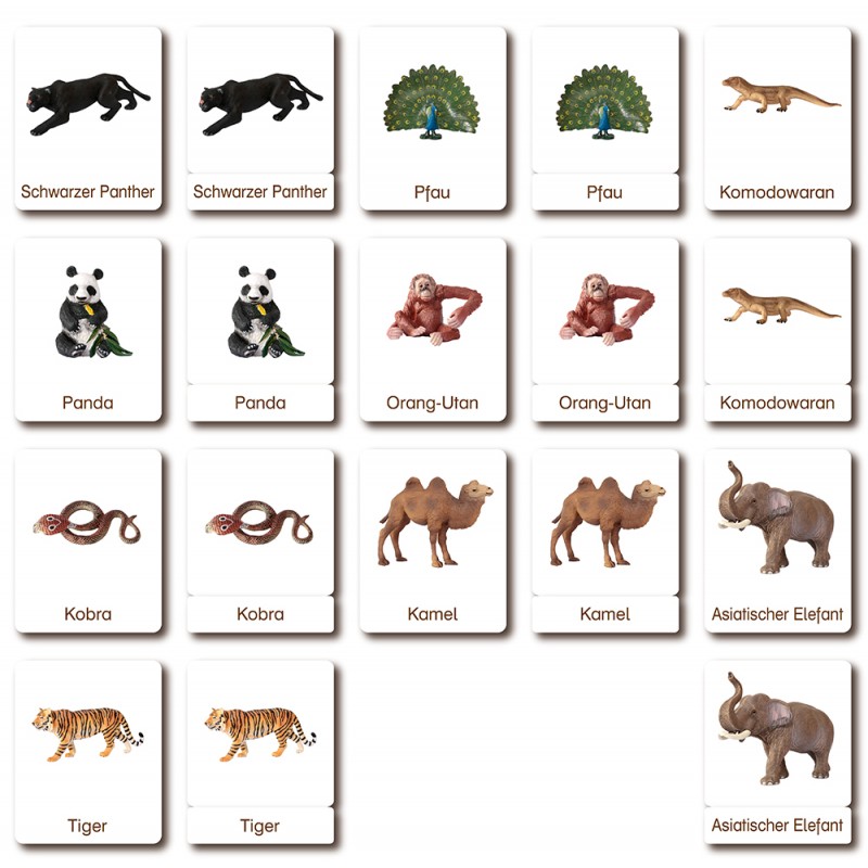 Classification cards - Animals from Asia - German