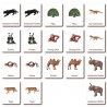 Klassifikationskarten - Tiere aus Asien - Deutsch Klassifikationskarten - Tiere aus Asien - Deutsch