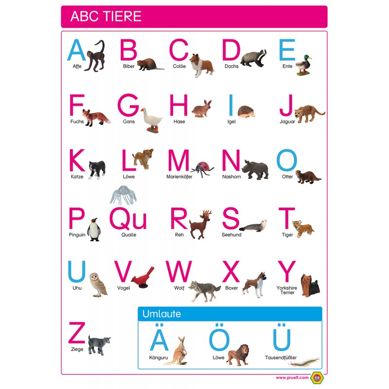 ABC Tiere - Plakat 50 x 70 cm - Deutsch - Großbuchstaben Druckschrift ABC Tiere - Plakat 50 x 70 cm - Deutsch - Großbuchstaben Druckschrift