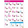ABC Tiere - Plakat 50 x 70 cm - Deutsch - Großbuchstaben Druckschrift ABC Tiere - Plakat 50 x 70 cm - Deutsch - Großbuchstaben Druckschrift