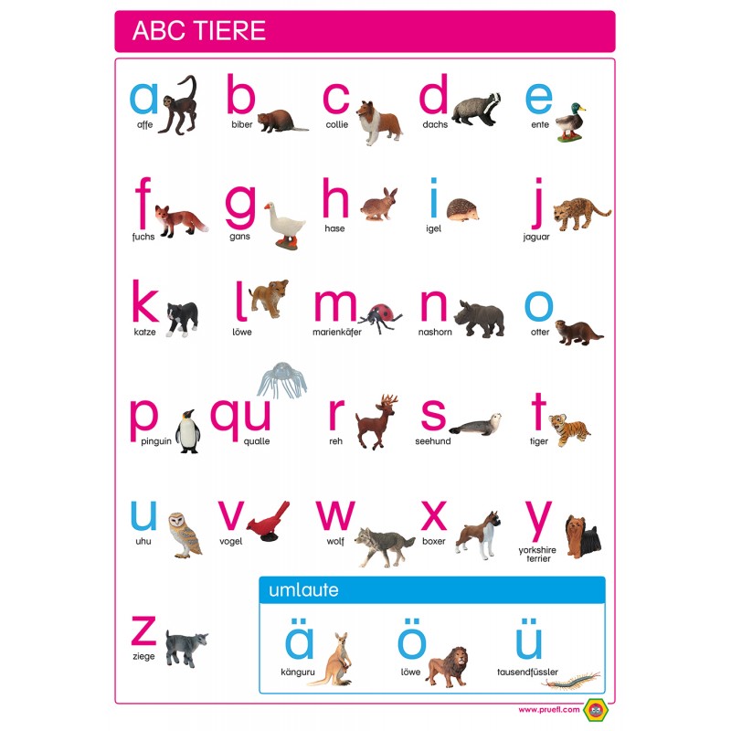 ABC Animals - Poster 50 x 70 cm - German - Lowercase Print
