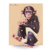 Holz-Puzzle realistisch Schimpanse