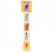 Growth puzzle - evolution