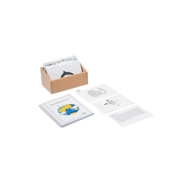 Tiere aus aller Ozeanen Tiere aus aller Ozeanen