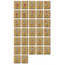 copy of Österreich - Landeswappen - Klassifikationskarten - Deutsch