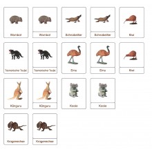 Classification cards - Animals from Australia - German