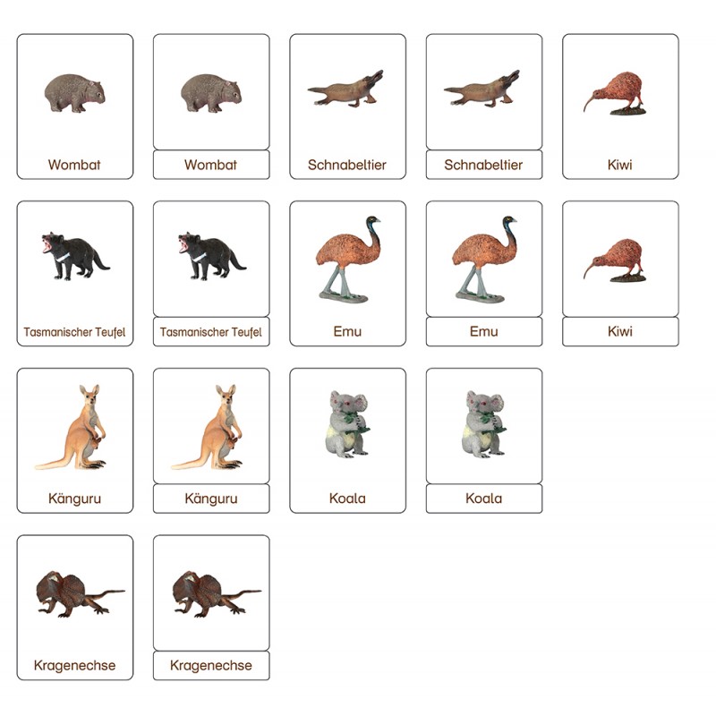 Klassifikationskarten - Deutsch + Tiere aus Australien Klassifikationskarten - Deutsch + Tiere aus Australien
