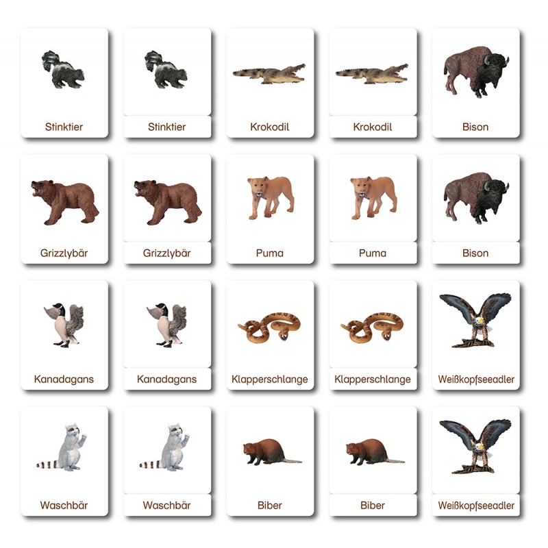 Klassifikationskarten - Tiere aus Nordamerika - Deutsch Klassifikationskarten - Tiere aus Nordamerika - Deutsch