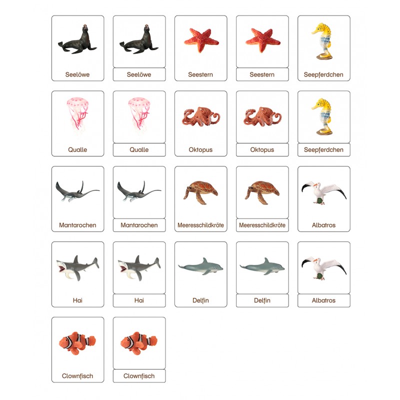 Classification cards - Animals of the Oceans - German