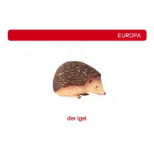 Tiere der Kontinente