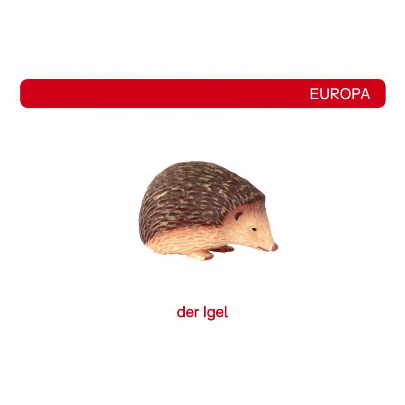 Tiere der Kontinente Tiere der Kontinente