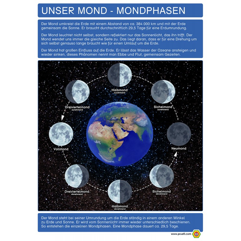 Unser Mond - Mondphasen - Plakat 50 x 70 cm - Deutsch Unser Mond - Mondphasen - Plakat 50 x 70 cm - Deutsch