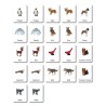 ABC Animals - Classification Cards - German