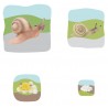 Schnecke Wachstumspuzzle Schnecke Wachstumspuzzle