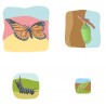 Schmetterling Wachstumspuzzle Schmetterling Wachstumspuzzle