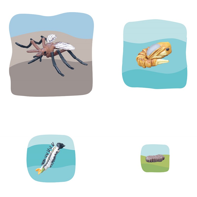 Mücke Wachstumspuzzle Mücke Wachstumspuzzle