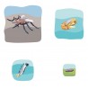 mosquito growth puzzle