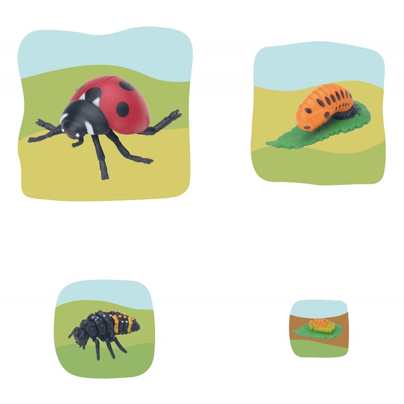 Marienkäfer Wachstumspuzzle Marienkäfer Wachstumspuzzle