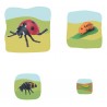 Ladybug Growth Puzzle
