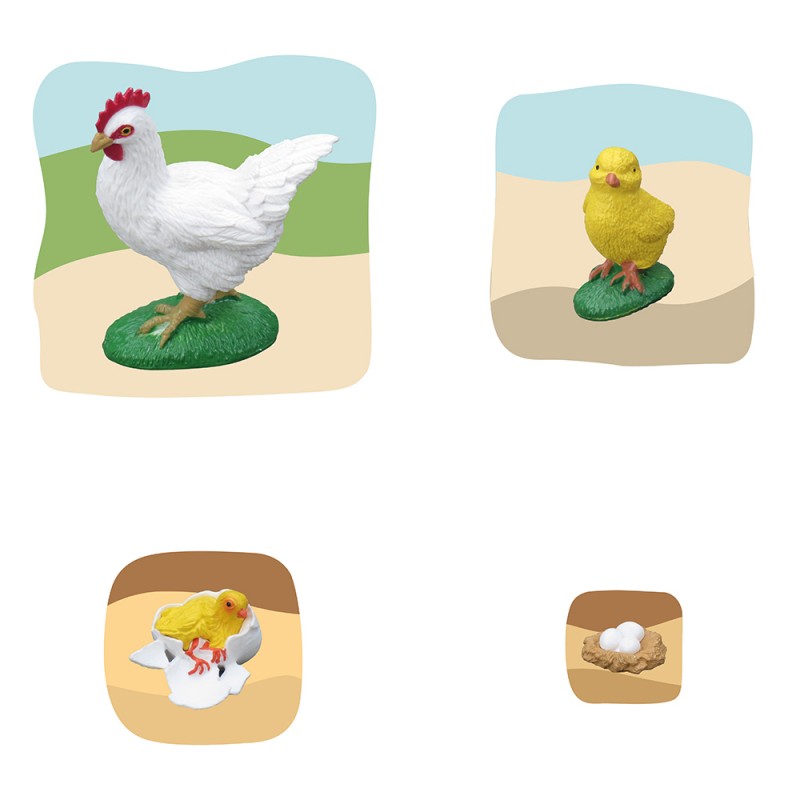 Huhn Wachstumspuzzle Huhn Wachstumspuzzle