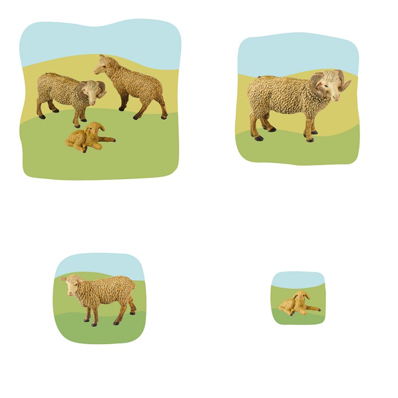 Schaf Familie Wachstumspuzzle Schaf Familie Wachstumspuzzle