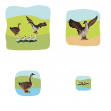 Gansfamilie Wachstumspuzzle